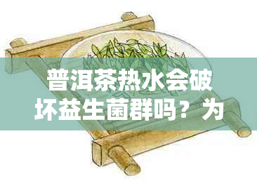 普洱茶热水会破坏益生菌群吗？为什么？如何泡普洱茶以保留益生菌？