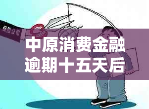 中原消费金融逾期十五天后会发生什么