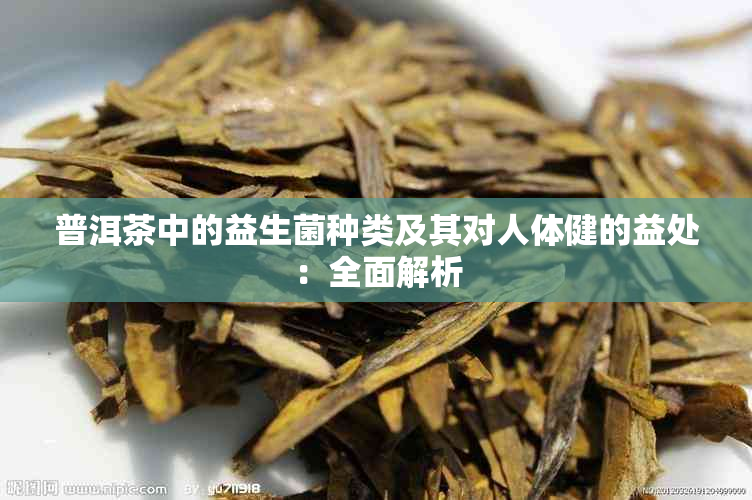 普洱茶中的益生菌种类及其对人体健的益处：全面解析