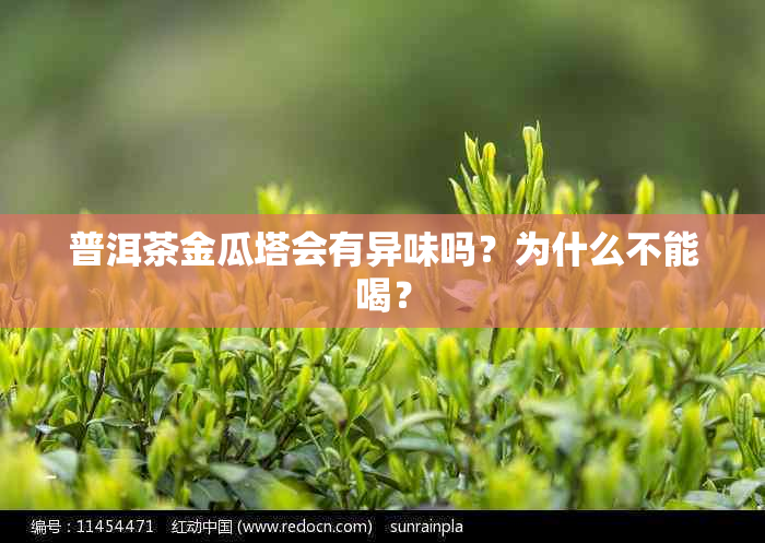 普洱茶金瓜塔会有异味吗？为什么不能喝？