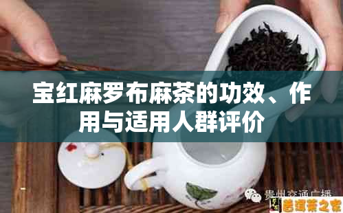 宝红麻罗布麻茶的功效、作用与适用人群评价