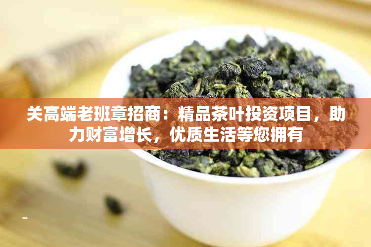 关高端老班章招商：精品茶叶投资项目，助力财富增长，优质生活等您拥有