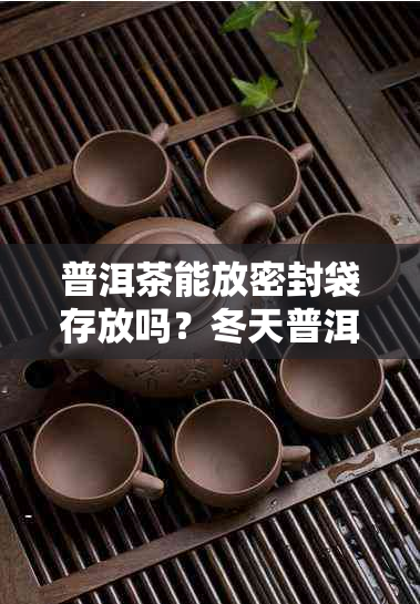 普洱茶能放密封袋存放吗？冬天普洱茶可以放在密封罐里吗？