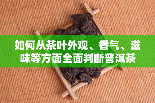 如何从茶叶外观、香气、滋味等方面全面判断普洱茶的年份？