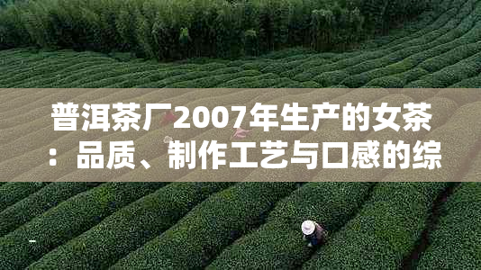 普洱茶厂2007年生产的女茶：品质、制作工艺与口感的综合解析