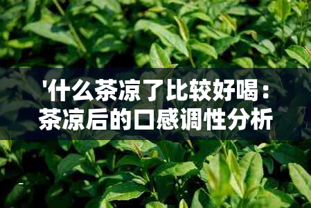 '什么茶凉了比较好喝：茶凉后的口感调性分析'