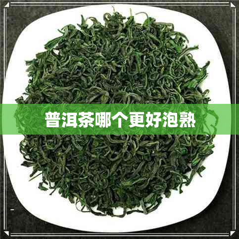 普洱茶哪个更好泡熟