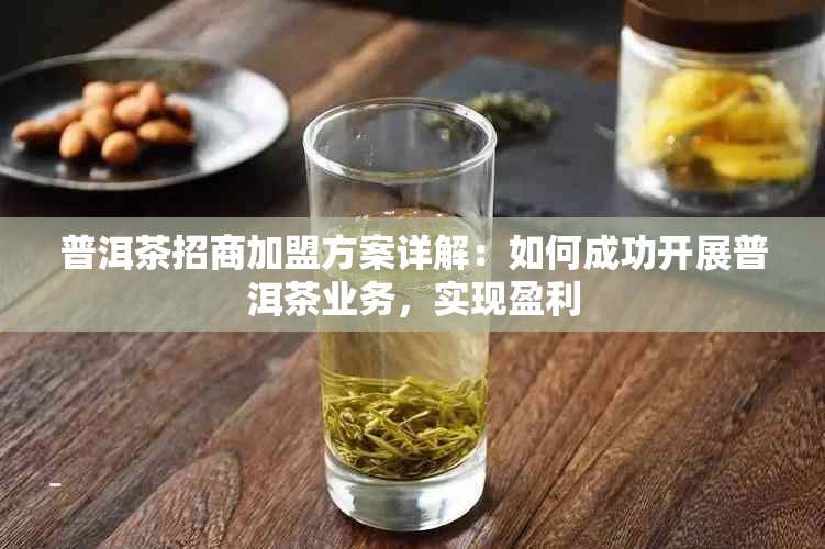 普洱茶招商加盟方案详解：如何成功开展普洱茶业务，实现盈利