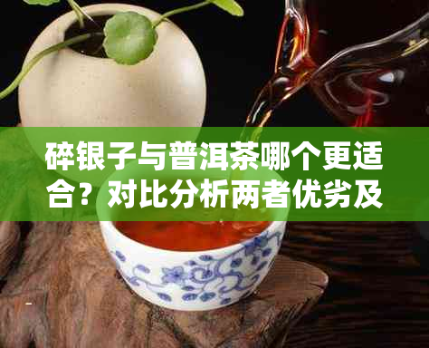 碎银子与普洱茶哪个更适合？对比分析两者优劣及适用场景