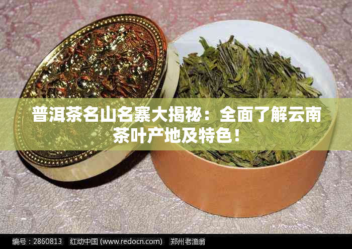 普洱茶名山名寨大揭秘：全面了解云南茶叶产地及特色！