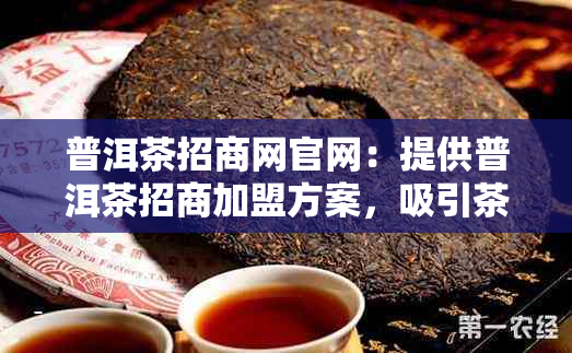 普洱茶招商网官网：提供普洱茶招商加盟方案，吸引茶商入驻普洱茶商城。