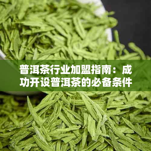 普洱茶行业加盟指南：成功开设普洱茶的必备条件与关键因素