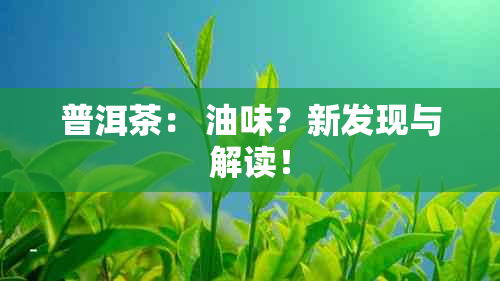 普洱茶： 油味？新发现与解读！