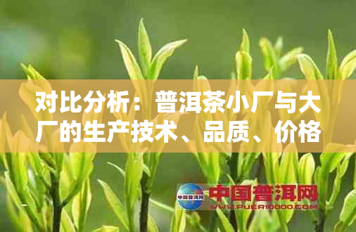 对比分析：普洱茶小厂与大厂的生产技术、品质、价格等方面差异