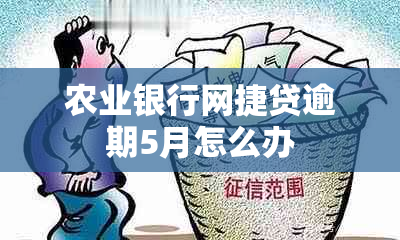 农业银行网捷贷逾期5月怎么办