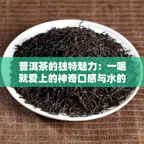 普洱茶的独特魅力：一喝就爱上的神奇口感与水的需求量