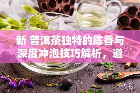 新 普洱茶独特的陈香与深度冲泡技巧解析，避免令人困扰的异味