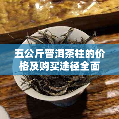 五公斤普洱茶柱的价格及购买途径全面解析，让你轻松了解行情！