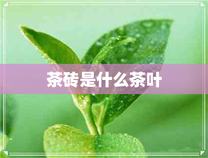 茶砖是什么茶叶