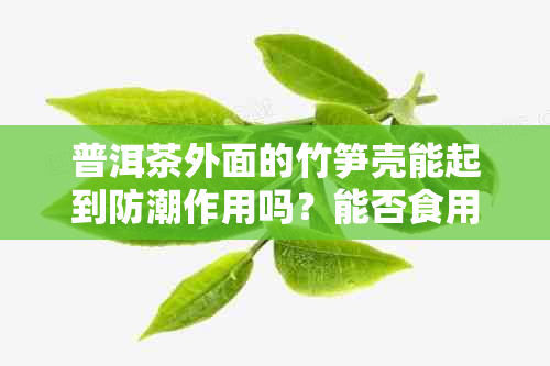 普洱茶外面的竹笋壳能起到防潮作用吗？能否食用？是否需要塑料密封袋保存？