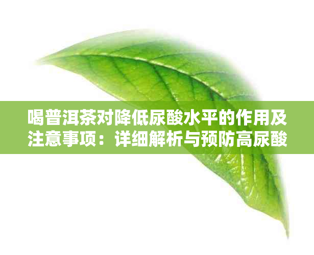 喝普洱茶对降低尿酸水平的作用及注意事项：详细解析与预防高尿酸症的方法