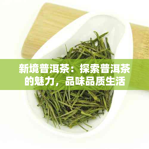 新境普洱茶：探索普洱茶的魅力，品味品质生活