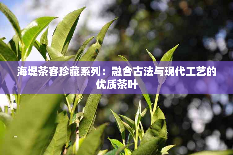 海堤茶客珍藏系列：融合古法与现代工艺的优质茶叶