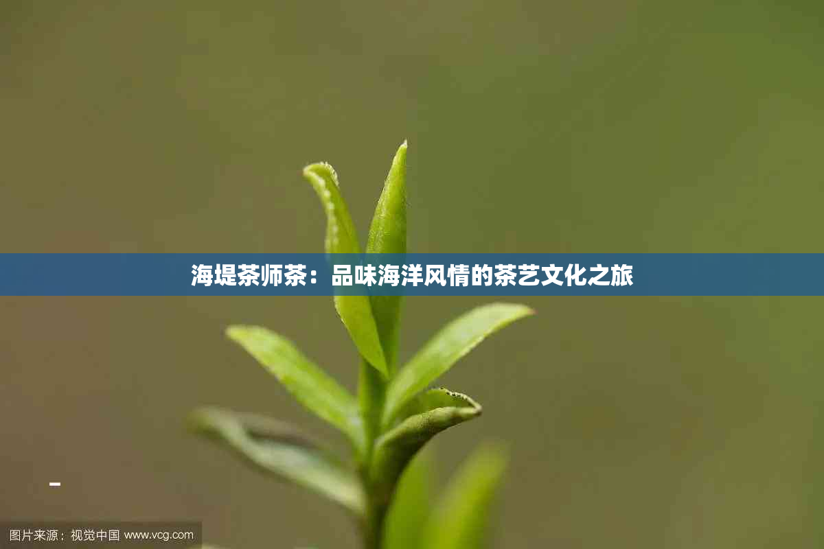 海堤茶师茶：品味海洋风情的茶艺文化之旅