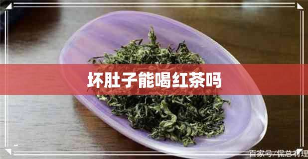 坏肚子能喝红茶吗