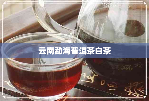 云南勐海普洱茶白茶