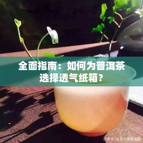 全面指南：如何为普洱茶选择透气纸箱？