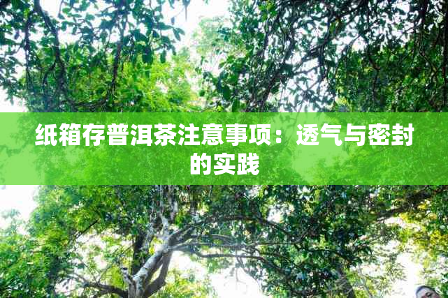 纸箱存普洱茶注意事项：透气与密封的实践