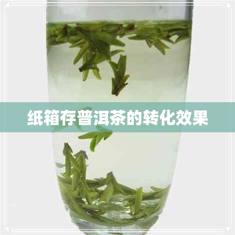 纸箱存普洱茶的转化效果