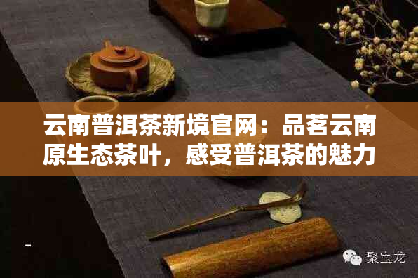 云南普洱茶新境官网：品茗云南原生态茶叶，感受普洱茶的魅力与文化