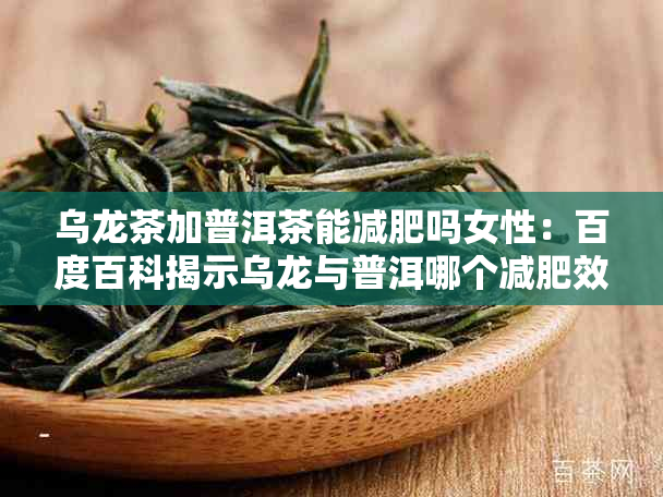 乌龙茶加普洱茶能减肥吗女性：百度百科揭示乌龙与普洱哪个减肥效果更好