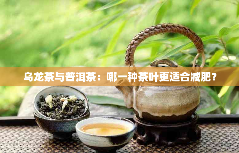 乌龙茶与普洱茶：哪一种茶叶更适合减肥？