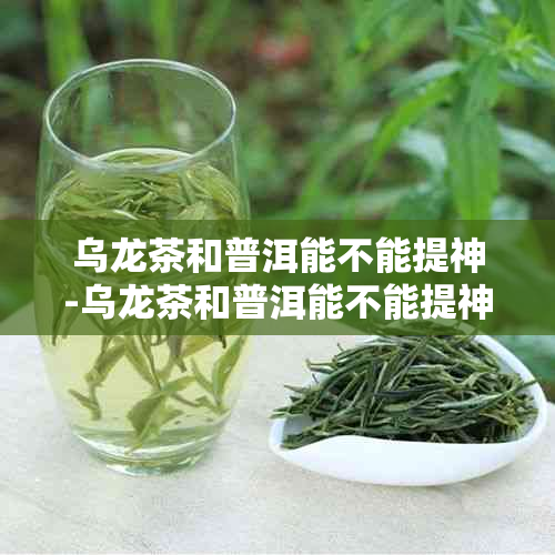 乌龙茶和普洱能不能提神-乌龙茶和普洱能不能提神一起喝