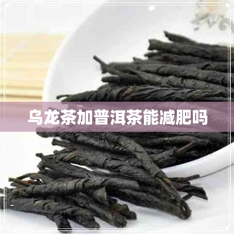 乌龙茶加普洱茶能减肥吗