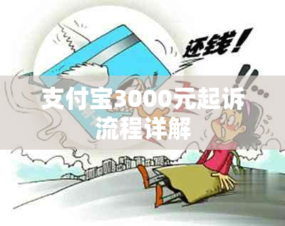 支付宝3000元起诉流程详解