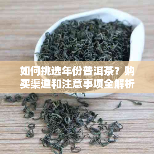 如何挑选年份普洱茶？购买渠道和注意事项全解析，让你买到真正的好茶！