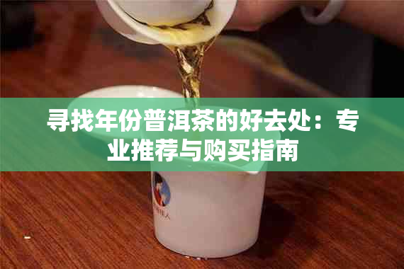 寻找年份普洱茶的好去处：专业推荐与购买指南