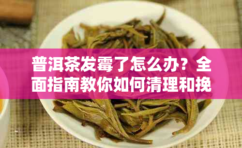 普洱茶发霉了怎么办？全面指南教你如何清理和挽救！