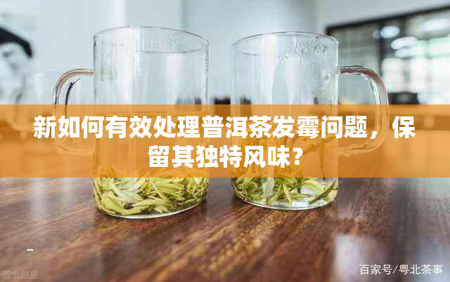 新如何有效处理普洱茶发霉问题，保留其独特风味？