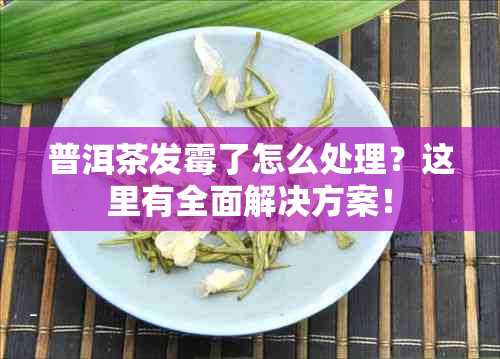 普洱茶发霉了怎么处理？这里有全面解决方案！