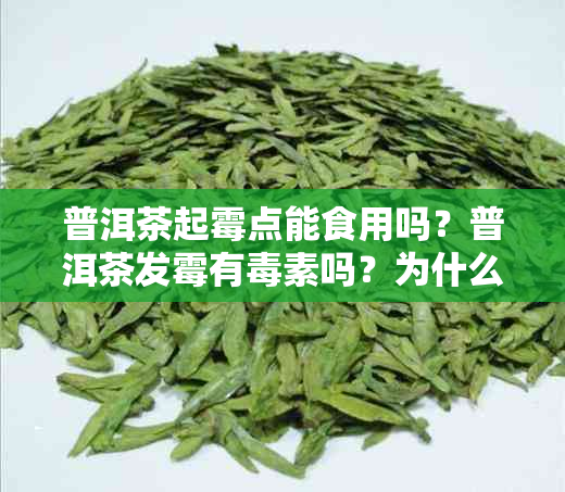 普洱茶起霉点能食用吗？普洱茶发霉有素吗？为什么普洱茶出现霉斑还能喝？