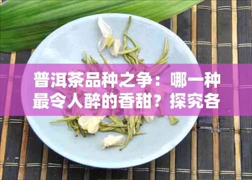 普洱茶品种之争：哪一种最令人醉的香甜？探究各种茶叶的特点与口感