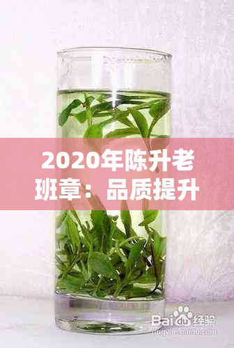 2020年陈升老班章：品质提升、风味独特，成为值得收藏的高端普洱茶之一