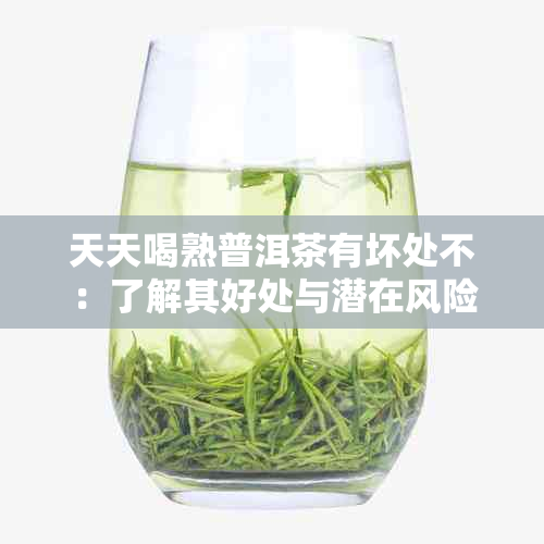 天天喝熟普洱茶有坏处不：了解其好处与潜在风险