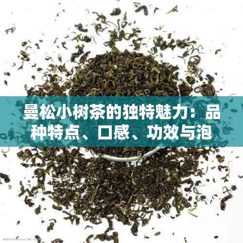 曼松小树茶的独特魅力：品种特点、口感、功效与泡法全面解析