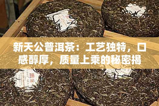 新天公普洱茶：工艺独特，口感醇厚，质量上乘的秘密揭秘